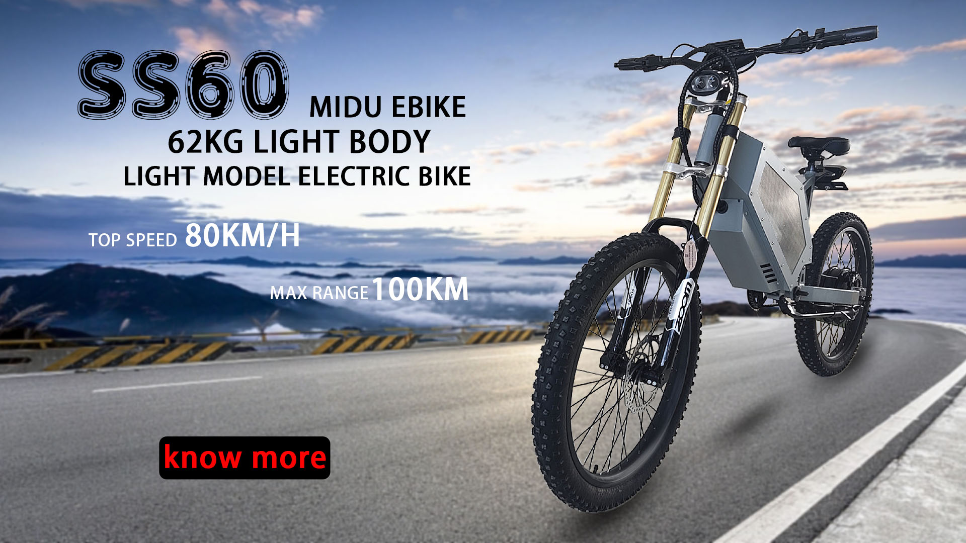 SS60 Electric Bike